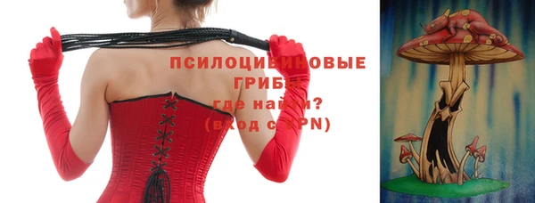 ECSTASY Ладушкин