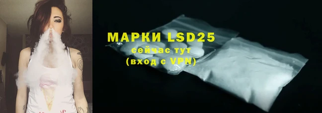 ECSTASY Ладушкин