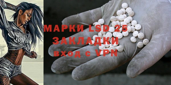 ECSTASY Ладушкин