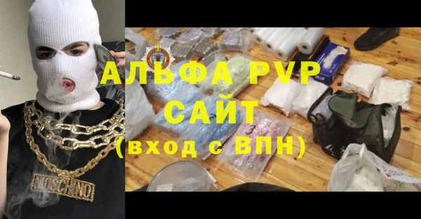 ECSTASY Ладушкин