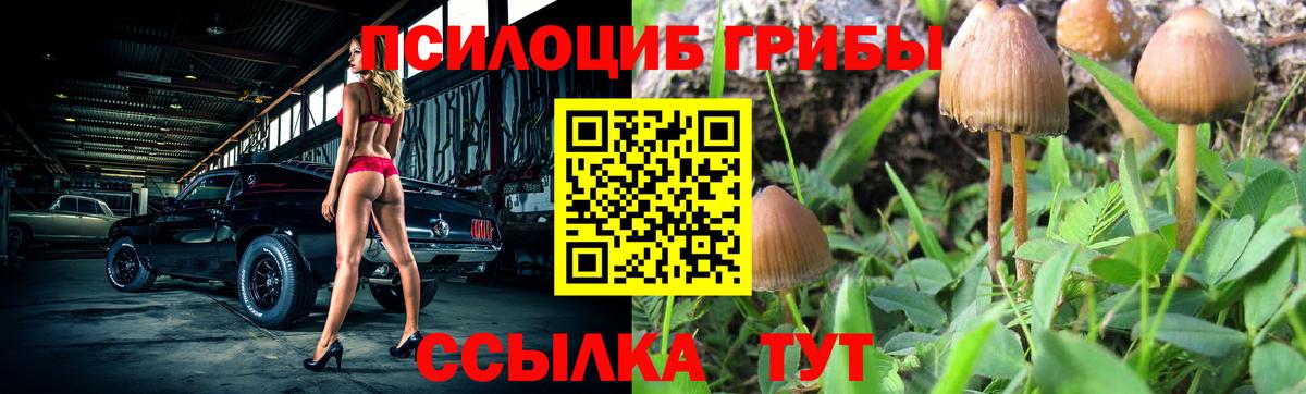 А ПВП Арзамас